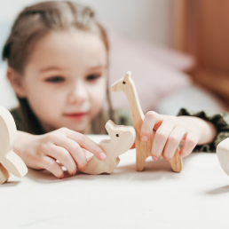 Building and construction play